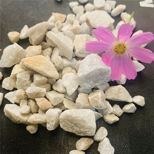 多年來與科研單位合作,不斷產(chǎn)品結(jié)構(gòu),為拓展市場(chǎng),由原來單 一的濾料銷