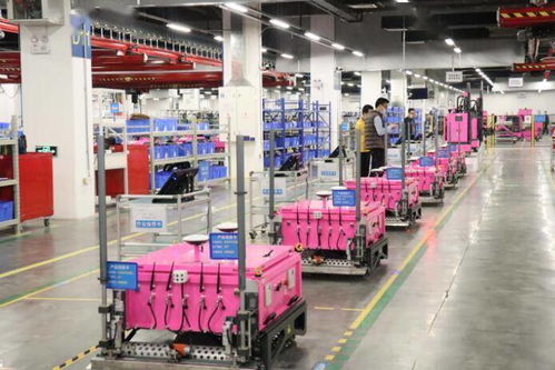 碧桂園居 財富 世界500強第139位 多元協同高質發展